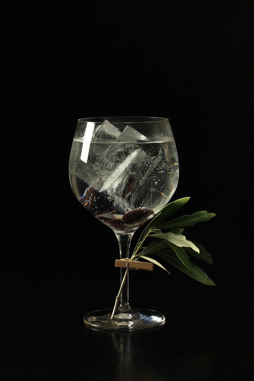 gin and tonic, cocktail, gin, alcohol, spirit, alcoholic, drink, tonic, cocktails, liquor, olives, gin, gin, gin, gin, gin